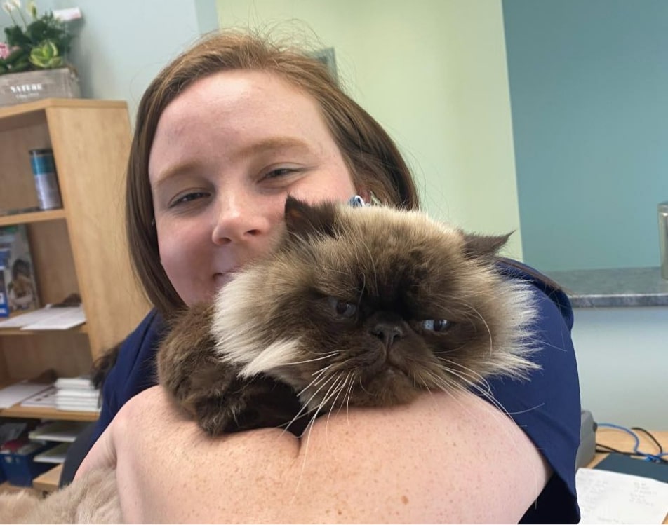 Veterinarian holding a cat
