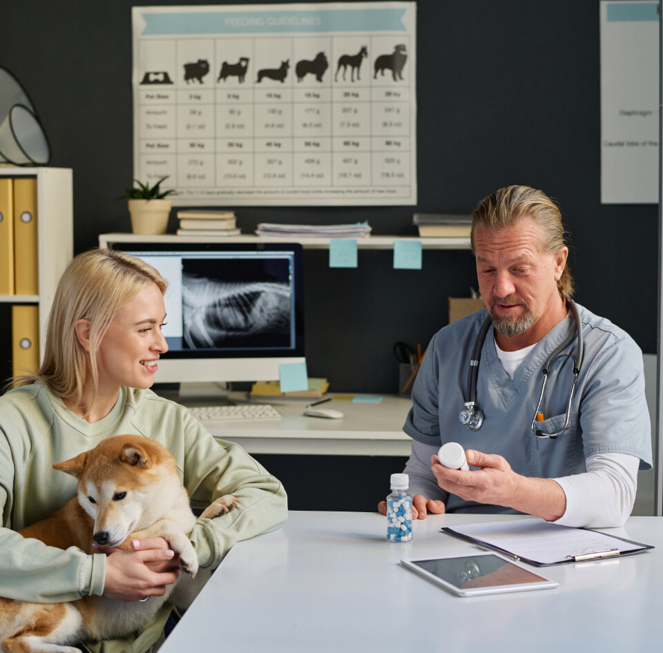 Veterinarian discussing diagnostics with pet owner holding a dog
